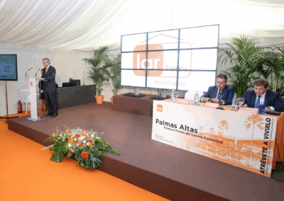 Presentación Palmas Altas